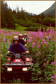 Alaska ATV tours