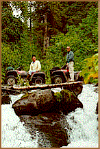 Backcountry Alaska Guided ATV Tours