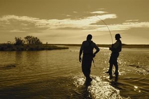 Alaskan Wilderness Outfitting Company