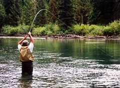 salmon fishing