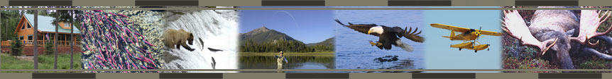 Alaska fishing, hunting, and sightseeing vacations