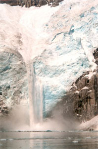 Prince William Sound glacier tours