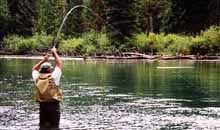 rainbow trout fly fishing in Bristol Bay Alaska