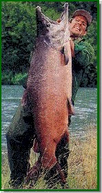Alaska King Salmon Fishing