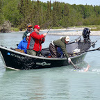 Salmon and Trout Fishing on the Kenai River of Alaska