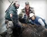 Kodiak Brown Bear Hunting