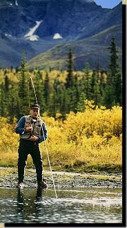 Alaska wilderness stream fishing
