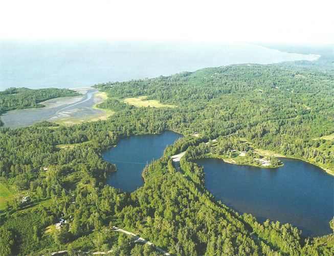 Twin Lakes lots for sale
