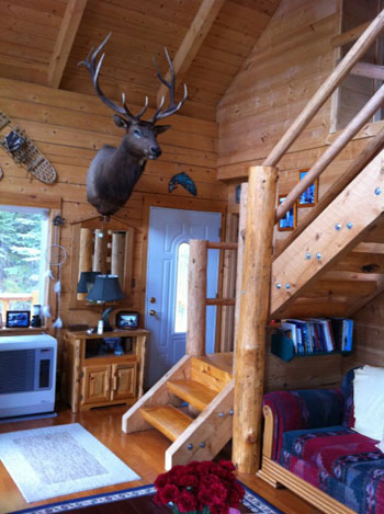 cabins for rent